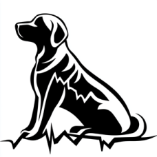 Póló - Labrador